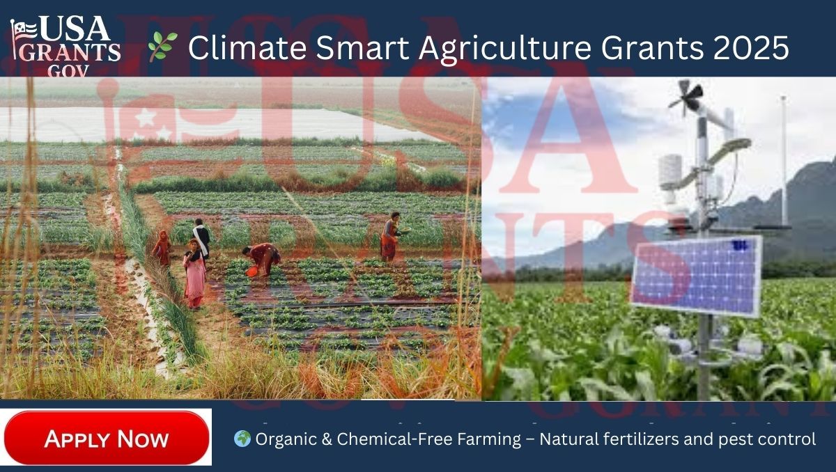Climate Smart Agriculture Grants