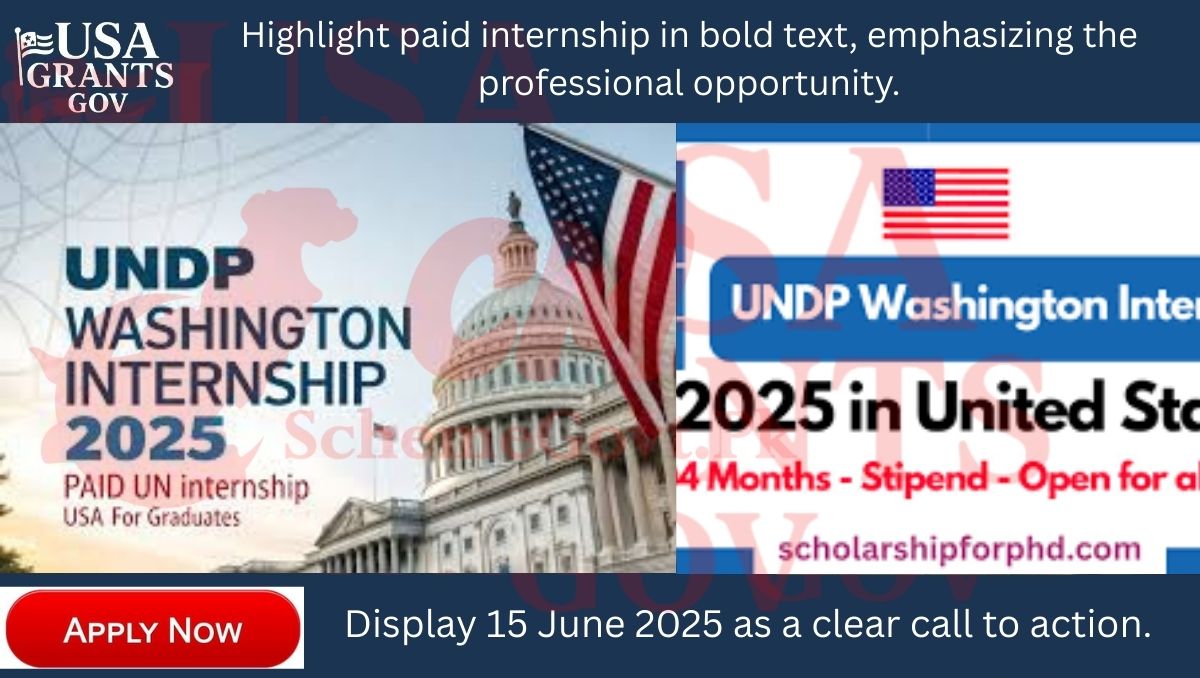 Paid UNDP Internship 2025