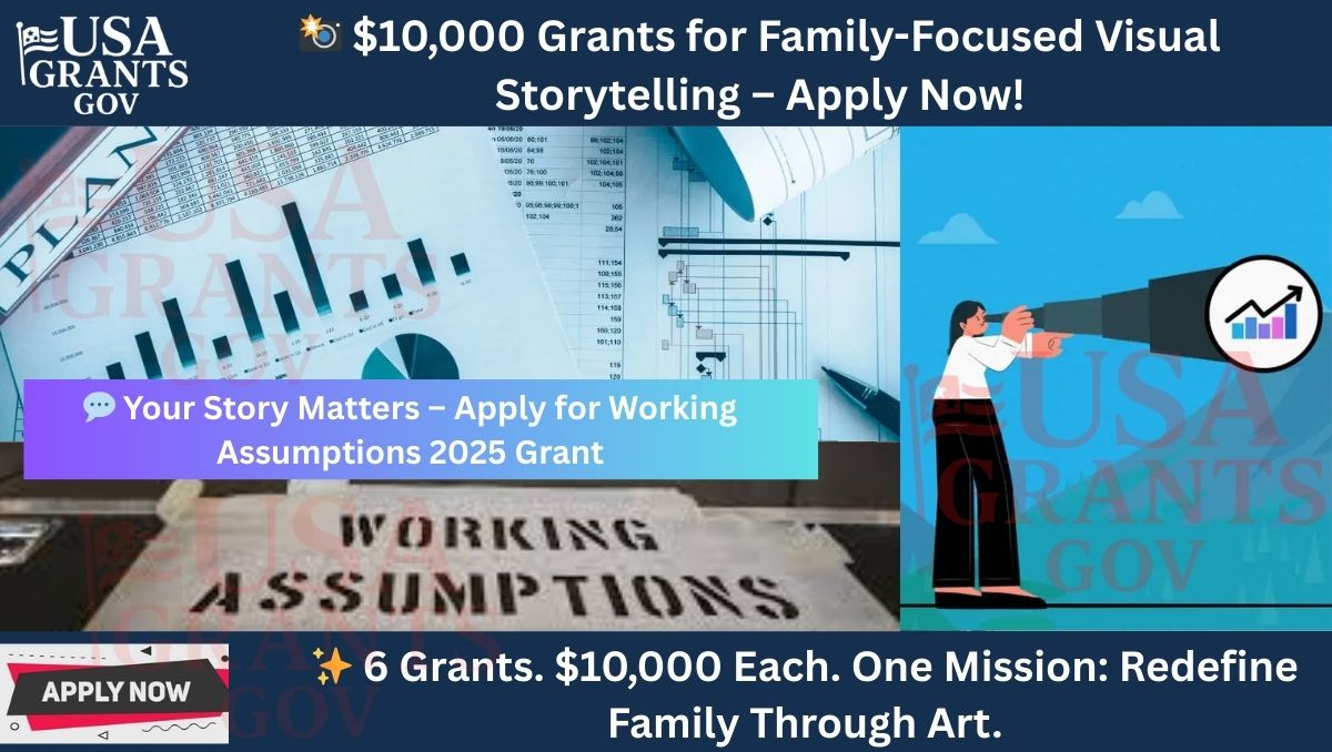Working Assumptions Project Grants 2025