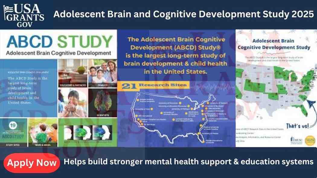 Adolescent Brain and Cognitive