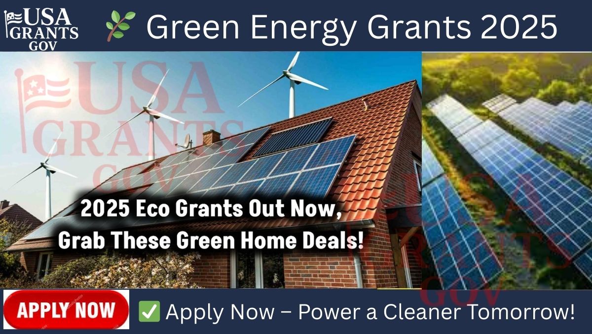 Green Energy Grants 2025