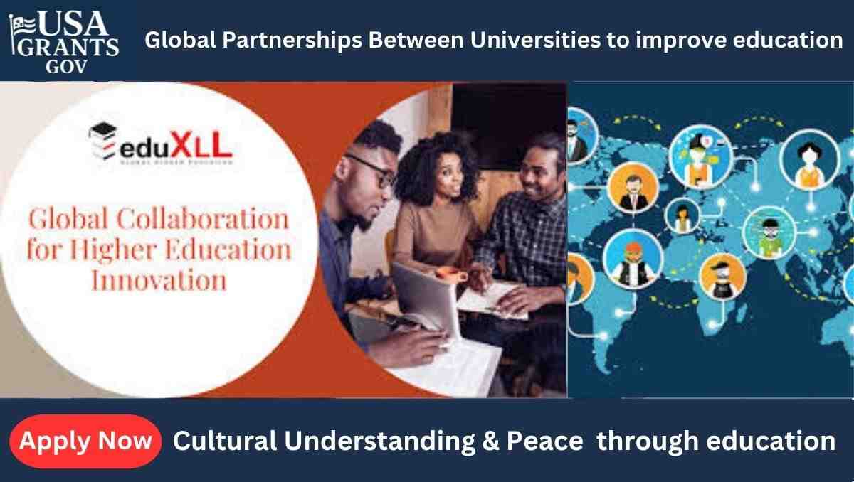 International University Collaboration