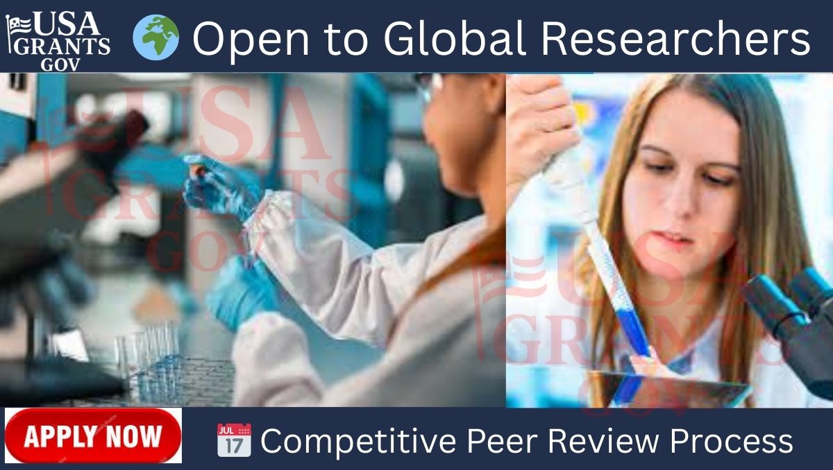 NIH 2025 Grant Guidelines for International Research
